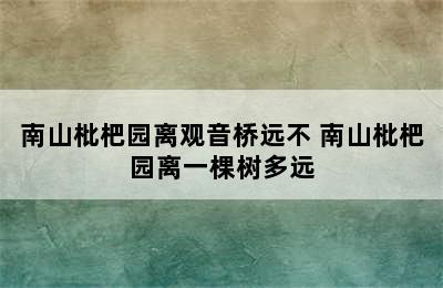 南山枇杷园离观音桥远不 南山枇杷园离一棵树多远